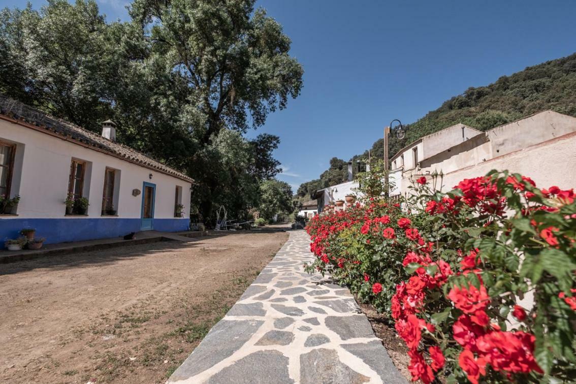 El Molino Del Corcho Apartment Cazalla de la Sierra Bagian luar foto